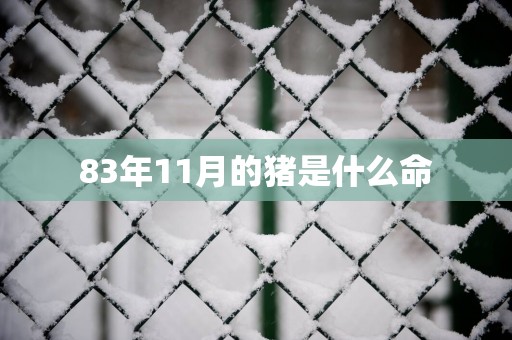 83年11月的猪是什么命