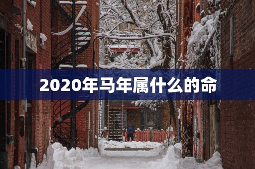 2025年马年属什么的命