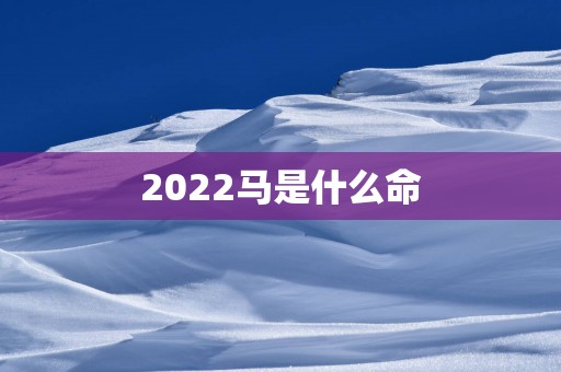 2025马是什么命