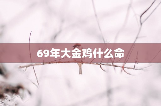 69年大金鸡什么命