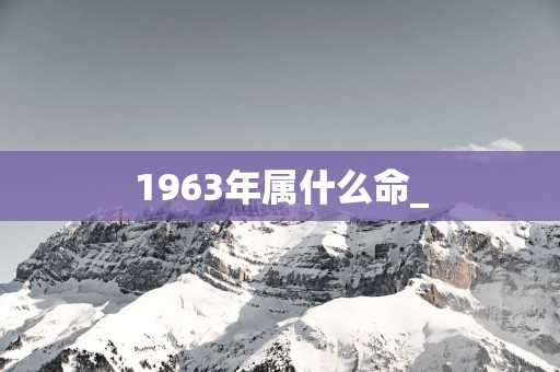 1963年属什么命_