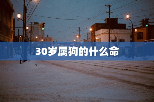 30岁属狗的什么命