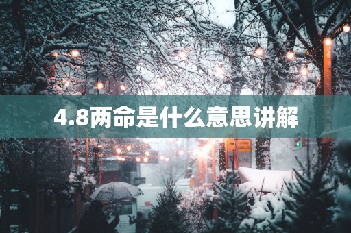 4.8两命是什么意思讲解