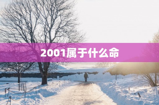 2001属于什么命