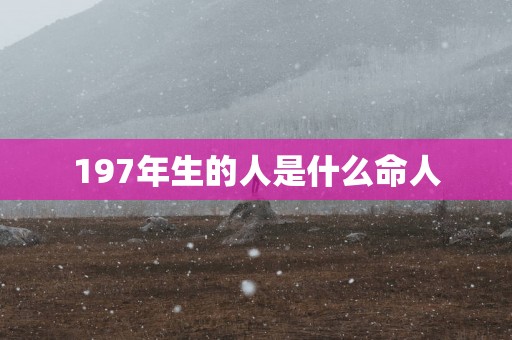 197年生的人是什么命人