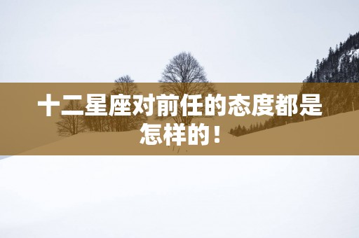 十二星座对前任的态度都是怎样的！