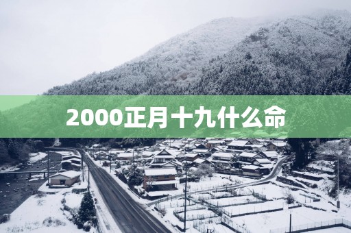 2000正月十九什么命