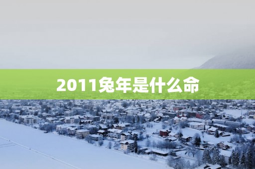 2011蛇年是什么命