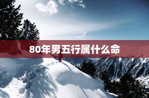 80年男五行属什么命
