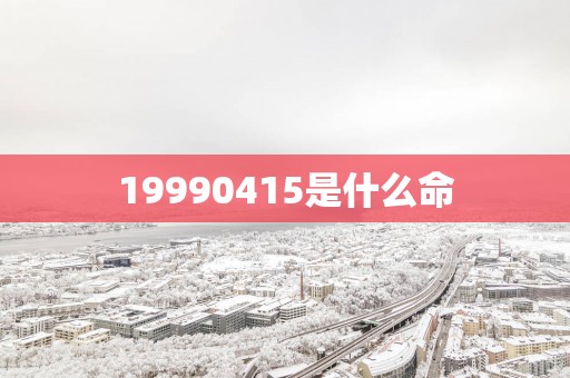 19990415是什么命