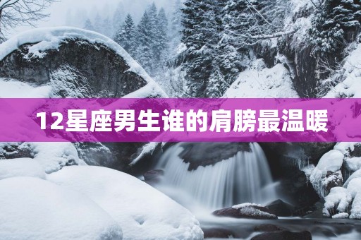 12星座男生谁的肩膀最温暖