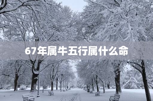 67年属牛五行属什么命