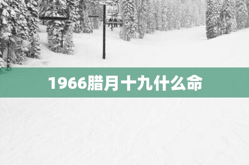 1966腊月十九什么命