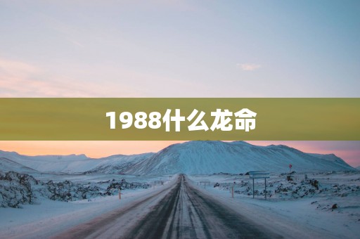 1988什么龙命