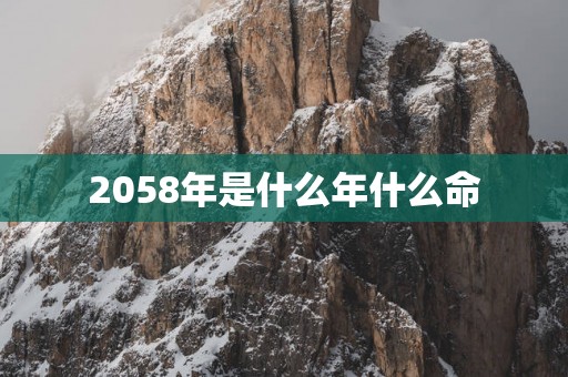 2058年是什么年什么命
