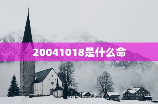 20041018是什么命