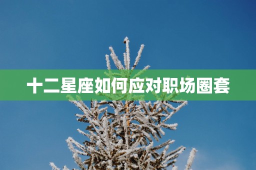 十二星座如何应对职场圈套