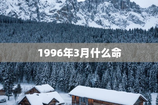 1996年3月什么命