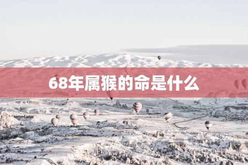 68年属猴的命是什么