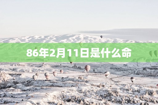 86年2月11日是什么命