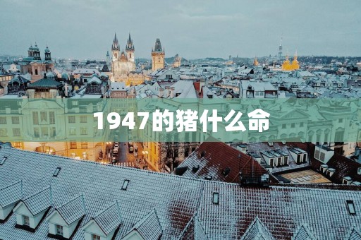 1947的猪什么命