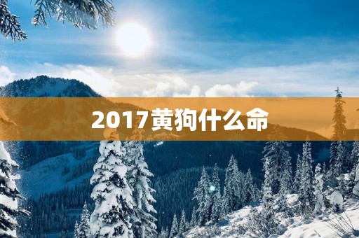 2017黄狗什么命