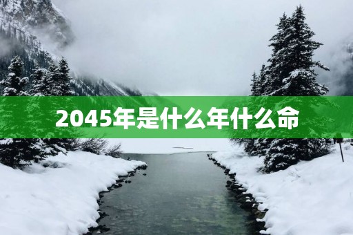 2045年是什么年什么命