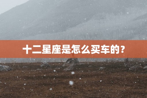 十二星座是怎么买车的？