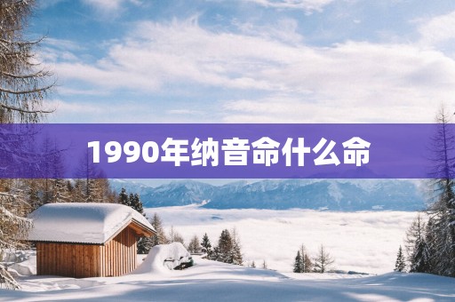 1990年纳音命什么命