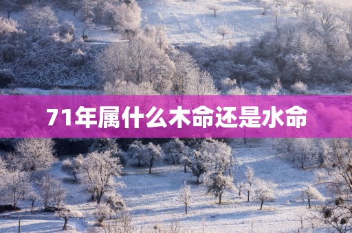 71年属什么木命还是水命