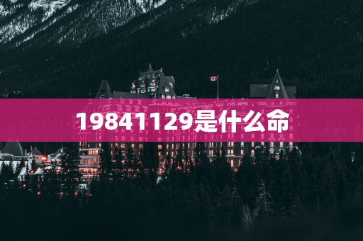 19841129是什么命