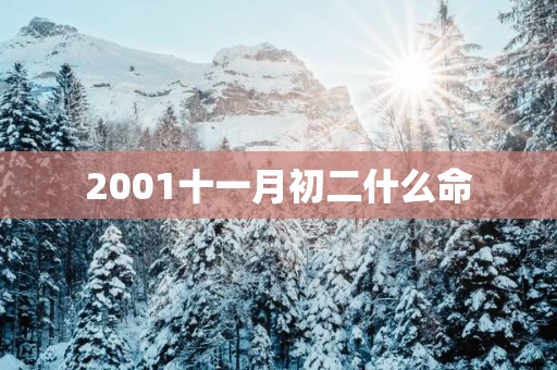 2001十一月初二什么命