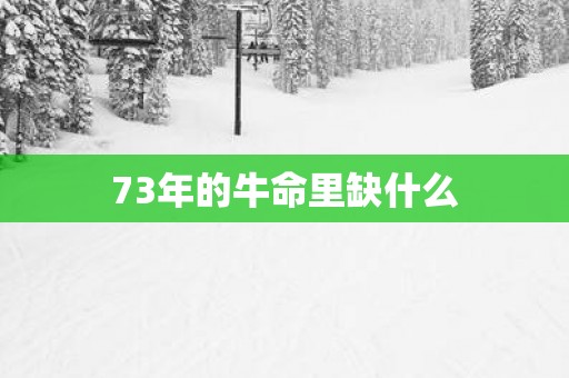 73年的牛命里缺什么