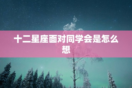 十二星座面对同学会是怎么想