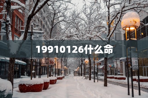 19910126什么命