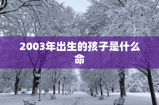 2003年出生的孩子是什么命