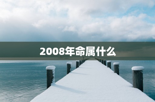 2008年命属什么