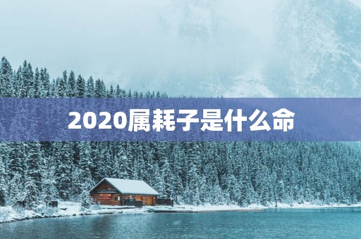 2025属耗子是什么命