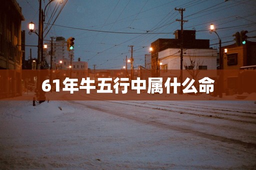 61年牛五行中属什么命