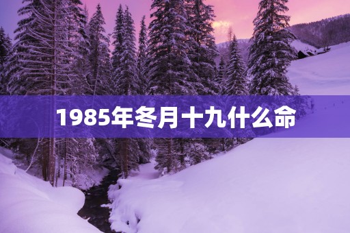 1985年冬月十九什么命