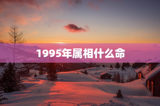 1995年属相什么命