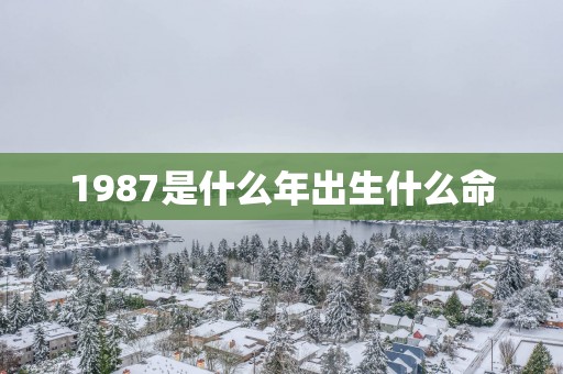 1987是什么年出生什么命