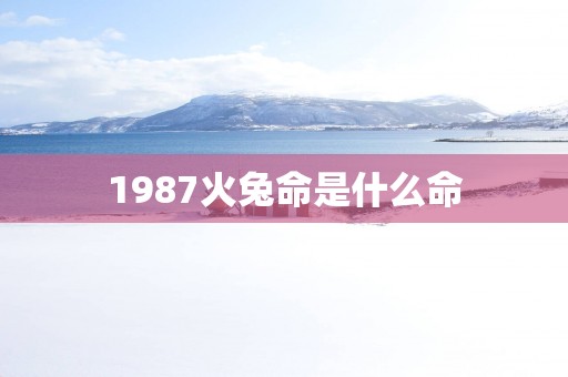 1987火兔命是什么命