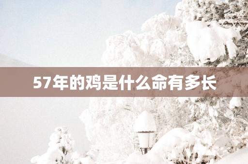 57年的鸡是什么命有多长