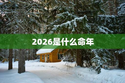 2026是什么命年