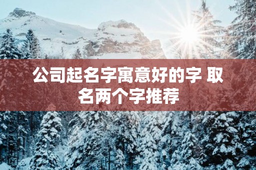 公司起名字寓意好的字 取名两个字推荐