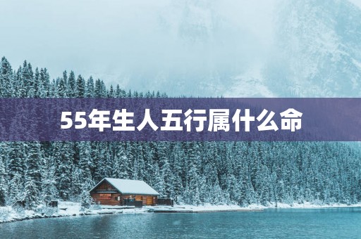 55年生人五行属什么命