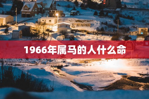 1966年属马的人什么命