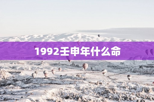 1992壬申年什么命
