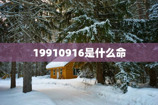 19910916是什么命